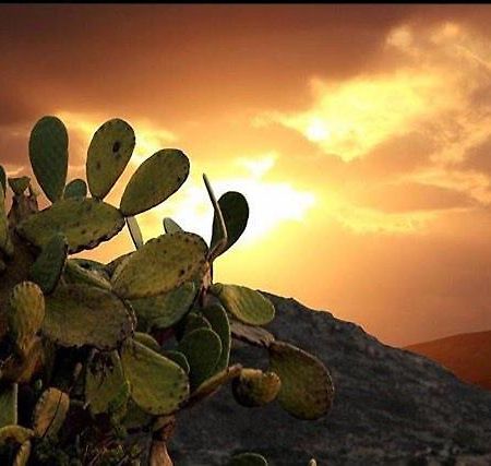 Prickly Pear House Hotel Plaka  Екстериор снимка