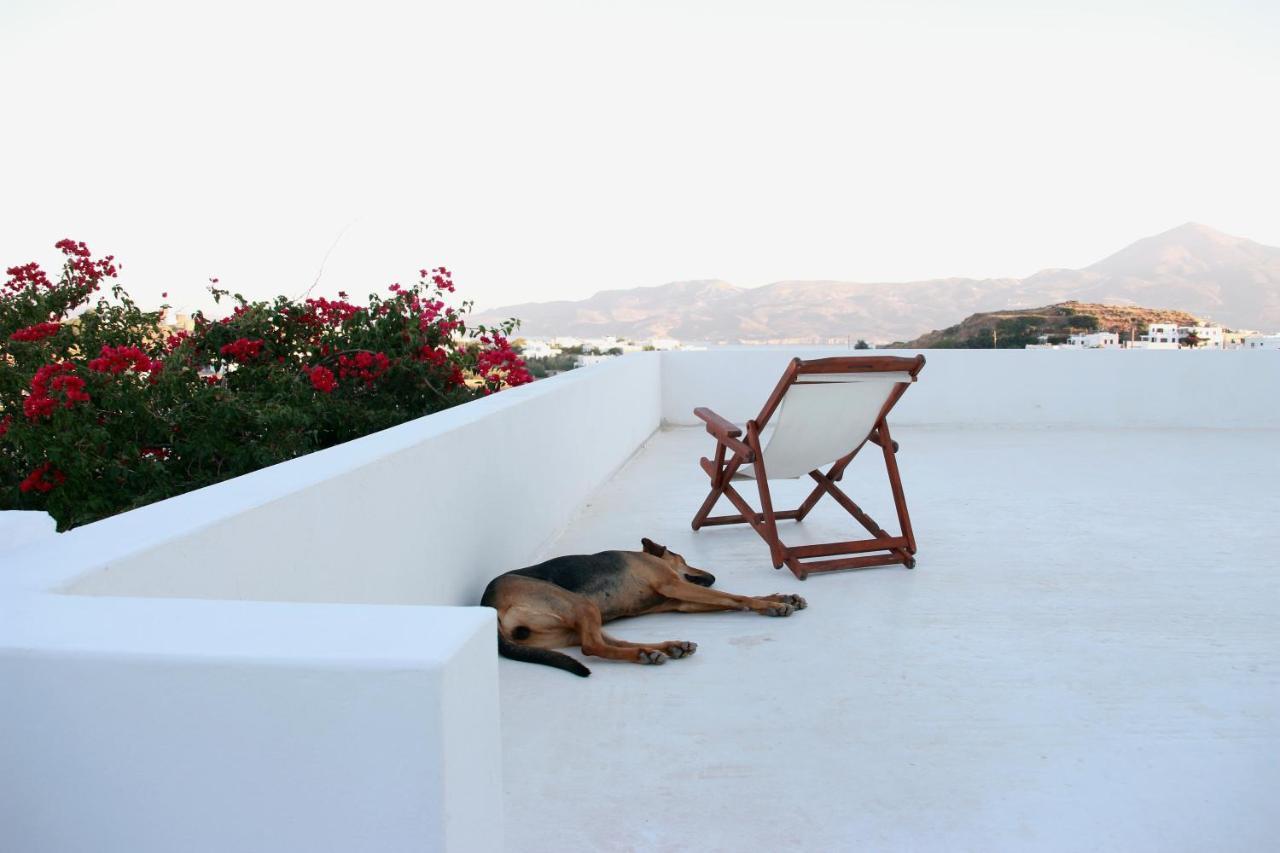 Prickly Pear House Hotel Plaka  Екстериор снимка
