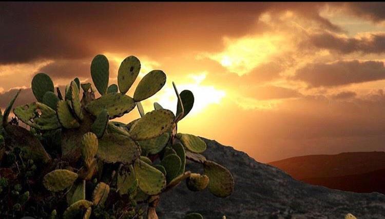 Prickly Pear House Hotel Plaka  Екстериор снимка